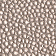Stingray Silver