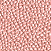 Stingray Pink