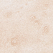Walnut Beige