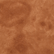 Walnut Sepia