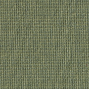 Canoso Grasshopper