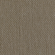 Ottawa Tan