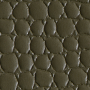 Medusa Olive