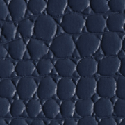 Medusa Navy