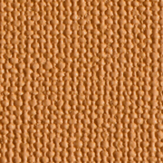 Nomad Ochre