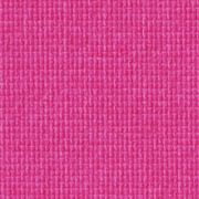 Canoso Flamingo