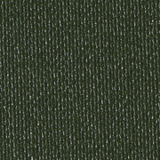 €uroBuckram Lizard