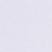 Chameleon White